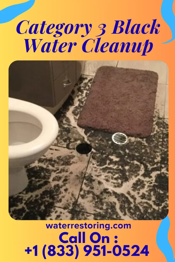Category 3 Black Water Cleanup in Selma, NC