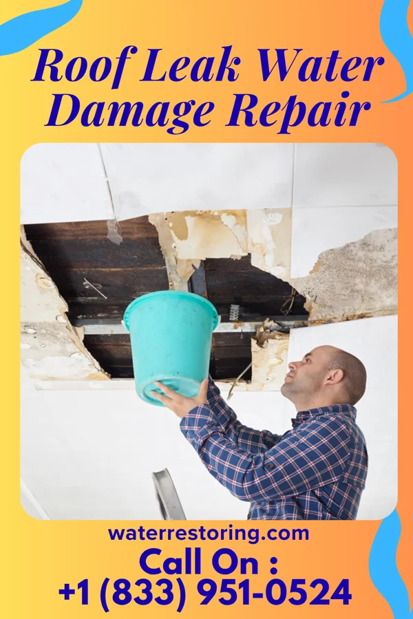 Roof Leak Water Damage Repair in Selma, NC