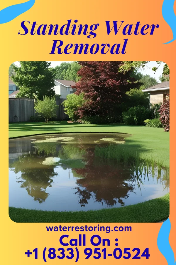 Standing Water Removal in Selma, NC